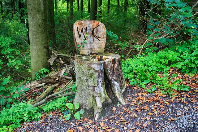 Buiten toilet in het bos